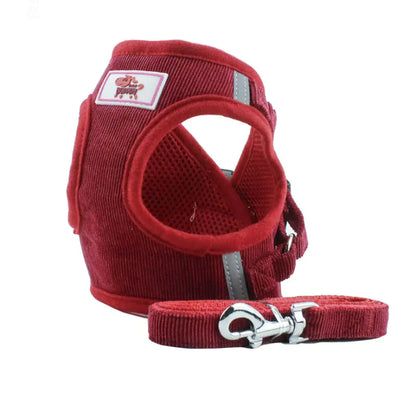 Dog Harness with Chain Attachment