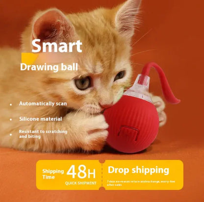 Interactive Cat Toy Ball